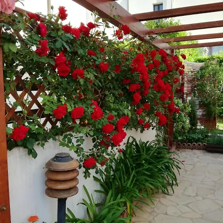 Holiday home 3 Bedrooms House At Ragusa 600 M Away From The With Furnished Balcony And Wifi *